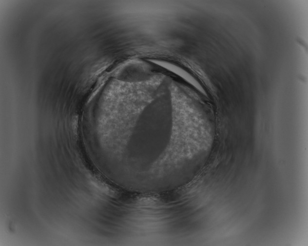 X0000091720066200709211009