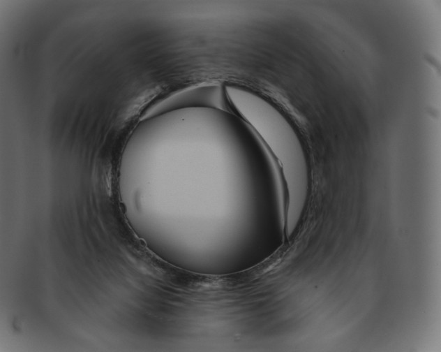 X0000091720068200709211009