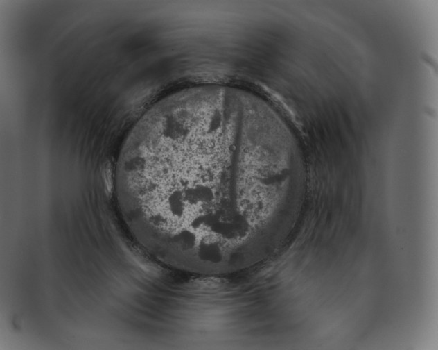 X0000091720069200709211009