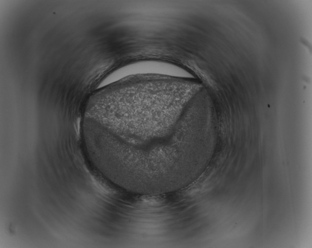 X0000091720070200709211009