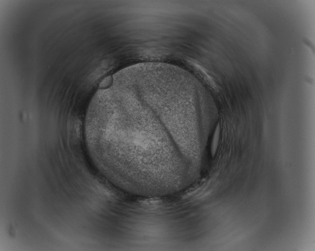 X0000091720071200709211009