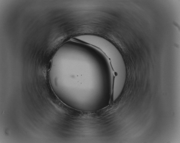 X0000091720072200709211009