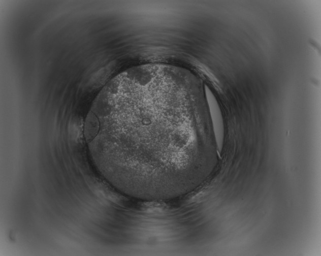 X0000091720073200709211009