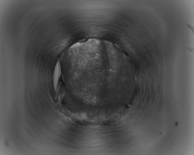 X0000091720076200709211009