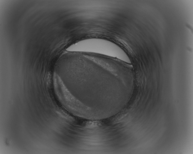 X0000091720077200709211009