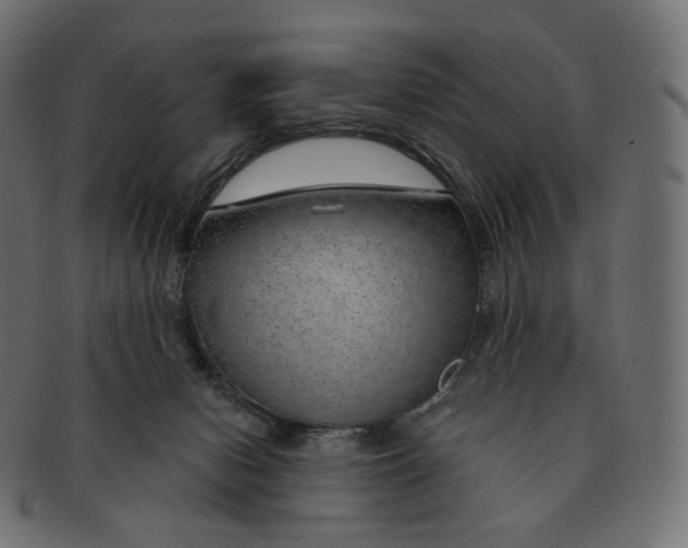 X0000091720078200709211009