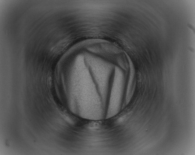 X0000091720080200709211009