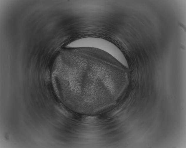 X0000091720081200709211009