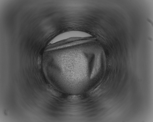 X0000091720082200709211009