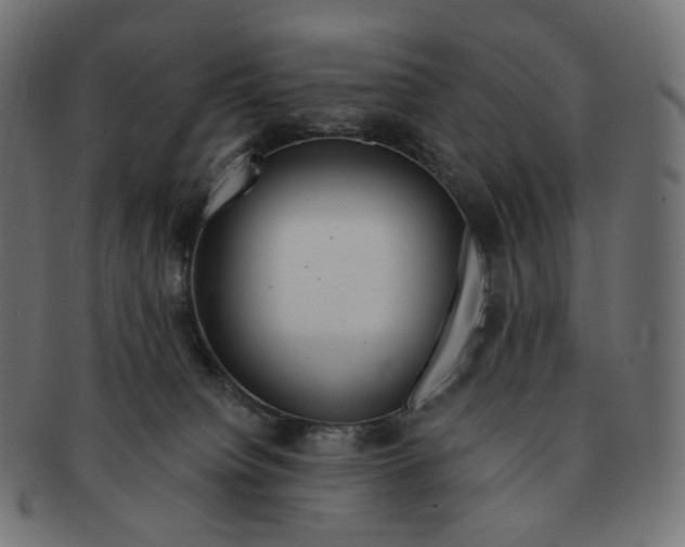 X0000091720084200709211009