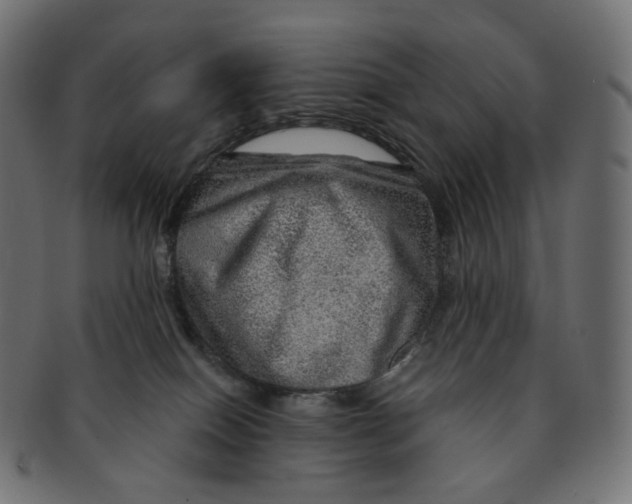 X0000091720086200709211009