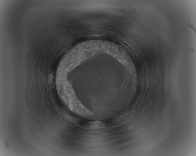 X0000091720087200709211009