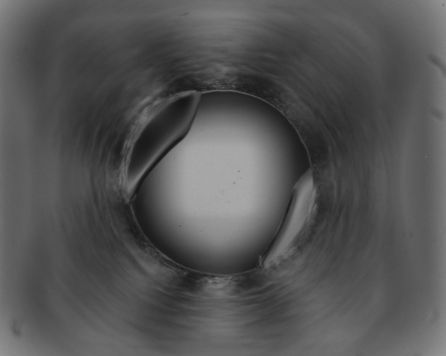 X0000091720088200709211009