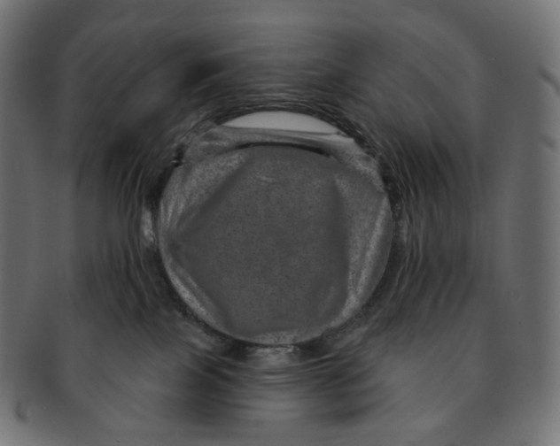 X0000091720089200709211009