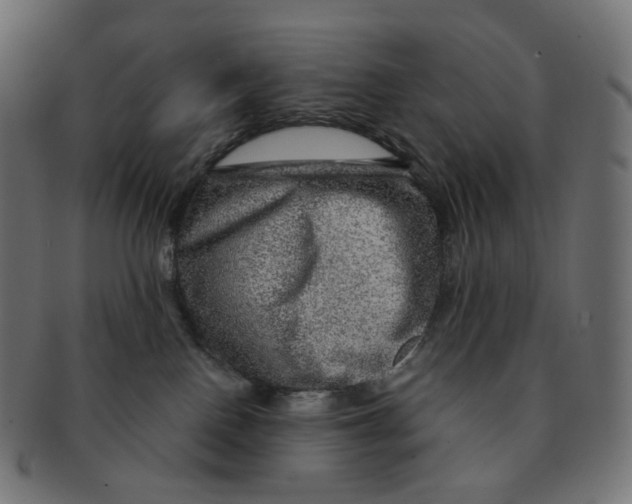 X0000091720090200709211009