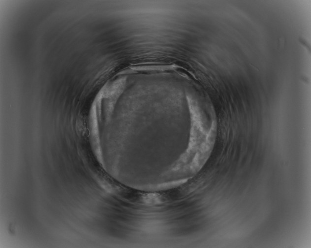 X0000091720091200709211009