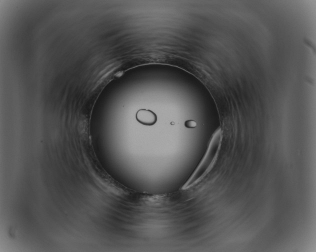 X0000091720092200709211009