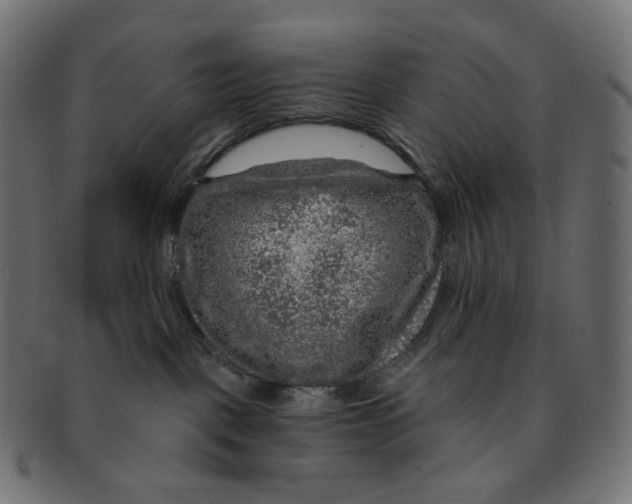 X0000091720093200709211009