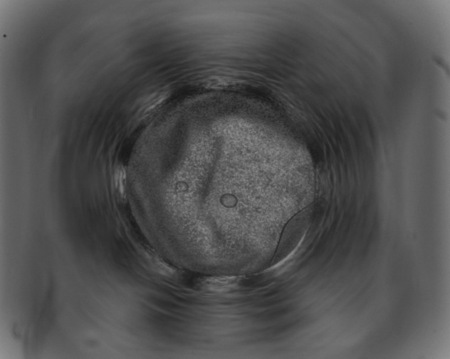 X0000091720094200709211009