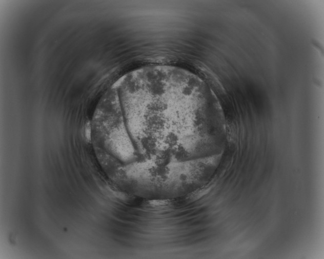 X0000091720095200709211009