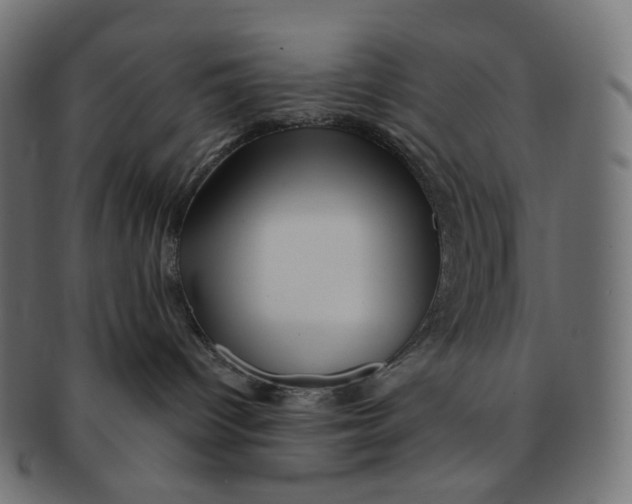 X0000091720096200709211009