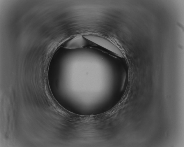 X0000091720097200709211009