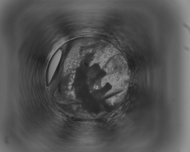 X0000091720099200709211009