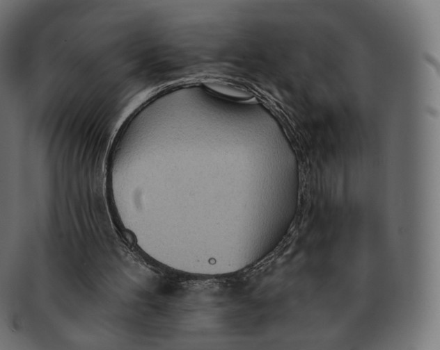 X0000091720100200709211009