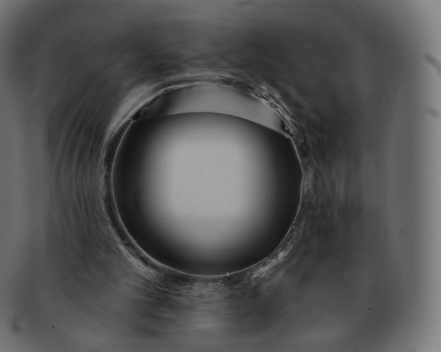 X0000091720101200709211009