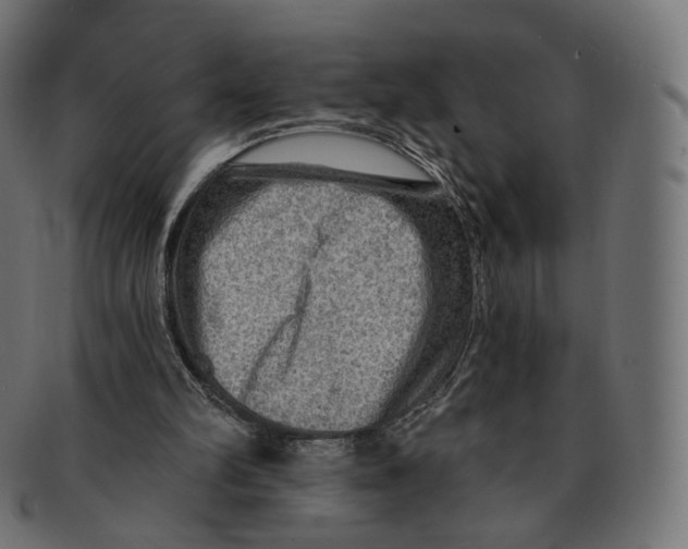 X0000091720102200709211009