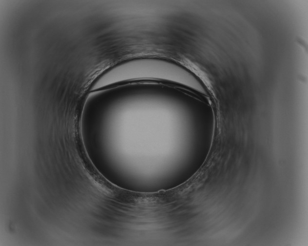 X0000091720105200709211009