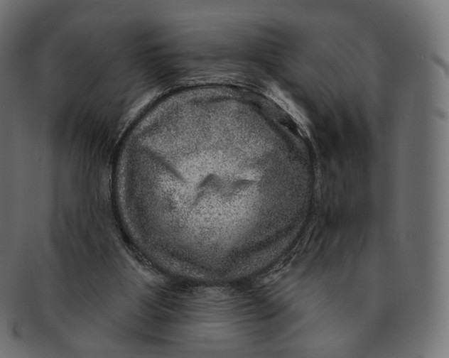 X0000091720107200709211009