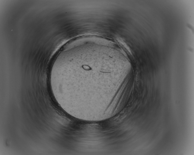 X0000091720108200709211009