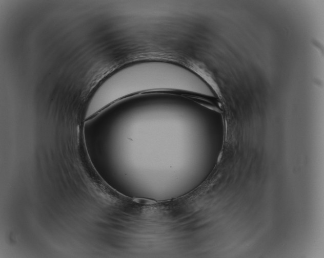 X0000091720109200709211009