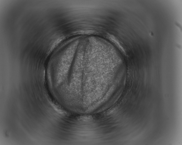 X0000091720110200709211009