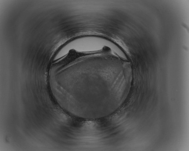 X0000091720111200709211009