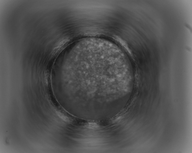 X0000091720114200709211009