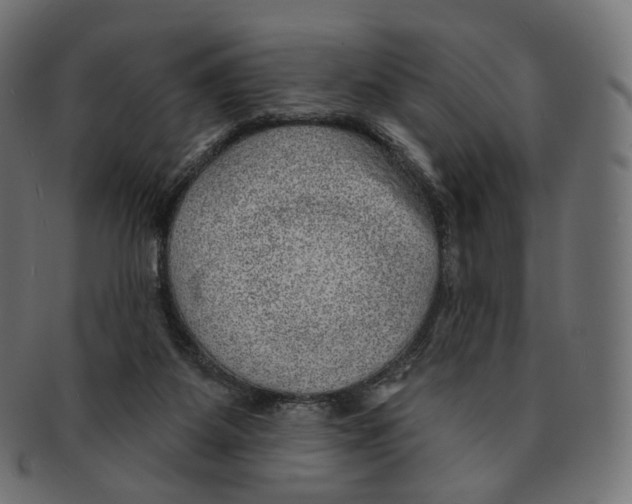 X0000091720115200709211009