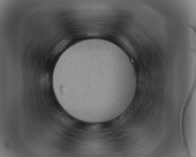 X0000091720116200709211009