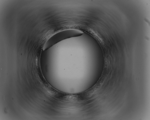 X0000091720117200709211009