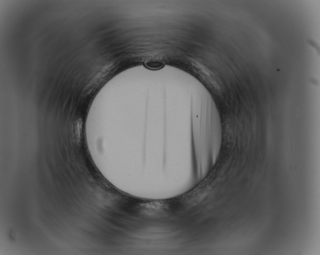 X0000091720118200709211009