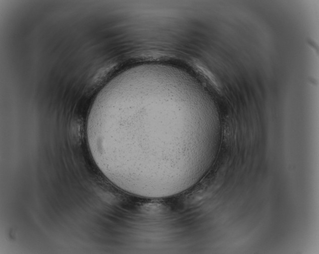 X0000091720119200709211008