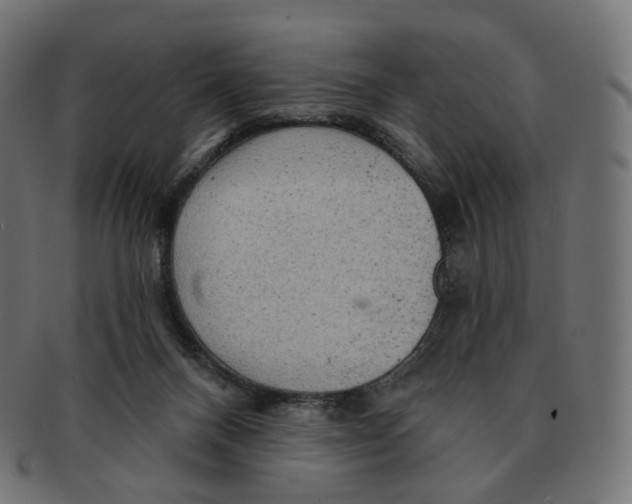 X0000091720120200709211008