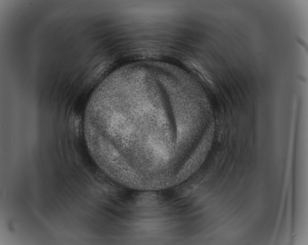 X0000091720123200709211008