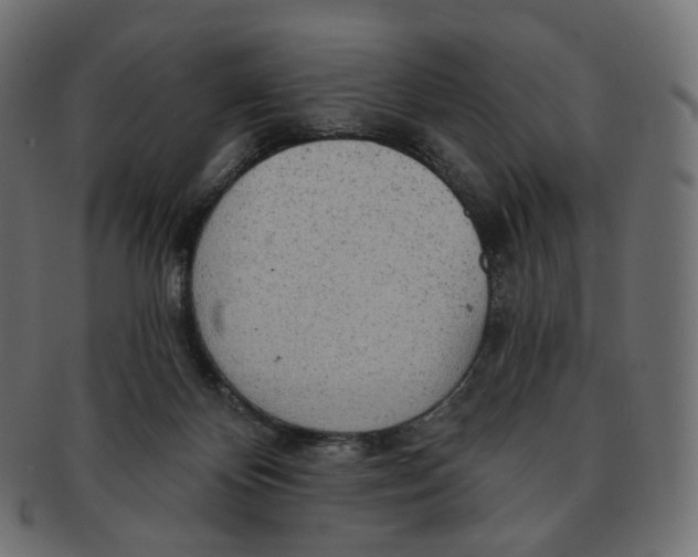 X0000091720124200709211008