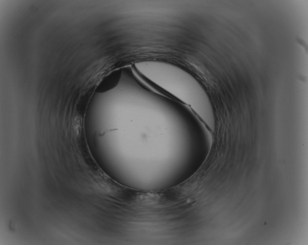 X0000091720125200709211008