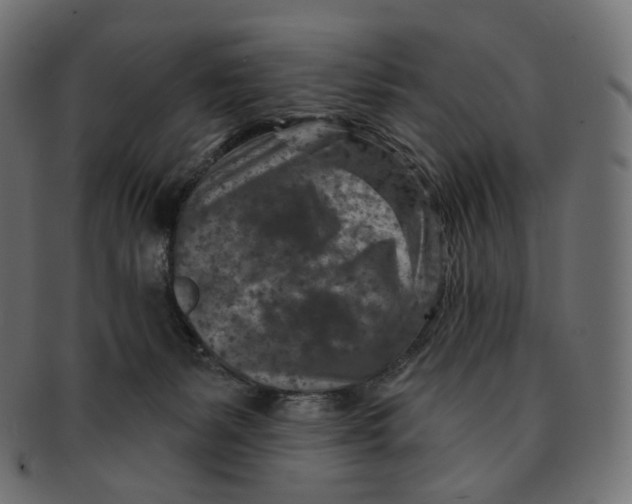 X0000091720127200709211008