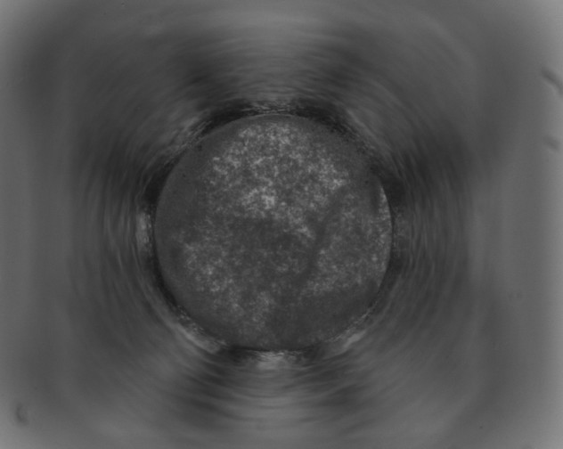 X0000091720130200709211008