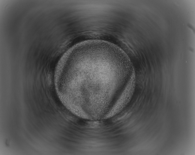 X0000091720131200709211008