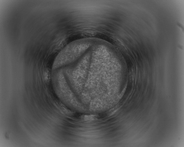 X0000091720134200709211008